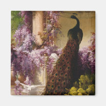 A Peacock and Doves in a Garden Print Refrigerator Magnets