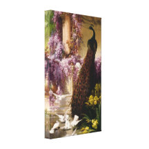 A Peacock and Doves in a Garden Wrapped Canvas Gallery Wrap Canvas