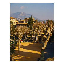 A quiet place photo print