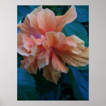 A Rare Flower - Mark Patrick Digital Art Poster