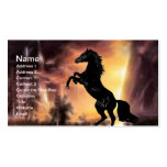 A rearing black stallion at sunset business card