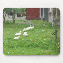 A Row of Ducks Mousepad