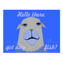 A Seal, asking for fish. Postcard