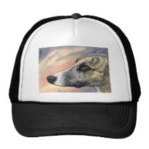 A Shy, Handsome Hound Hats