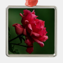 A Single Red Rose Christmas Tree Ornament