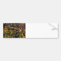 A Slice of Fall Bumper Sticker