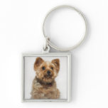 A small Dog Key chain/keyring