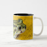 A spadefoot toad mugs
