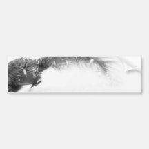 A Squirrel Jumping Out Of The Picture Bumper Sticker