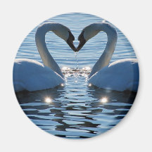 A Swan Heart Kiss, Reflections of Love Refrigerator Magnet