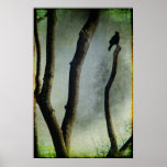 A Tree Posters