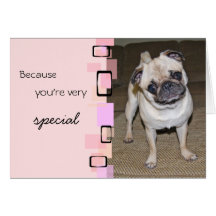 A Very Special Pug Birthday Card