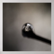 A whole forest in a single drop of water poster
