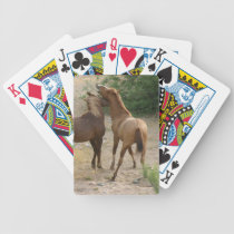A Wild Horse Conversation playing cards
