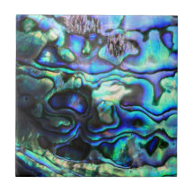 Abalone paua shell ceramic tiles