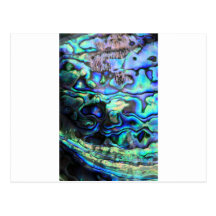 Abalone paua shell postcards