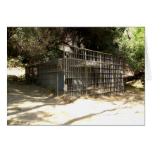 Abandoned Cage At The Old LA Zoo Greeting Cards