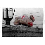 Abandoned Toy Card