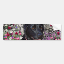 Abby in Flowers – Black Lab Dog Bumper Sticker
