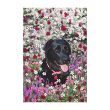Abby in Flowers – Black Lab Dog Canvas Print
