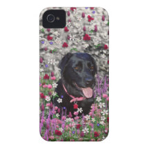 Abby in Flowers – Black Lab Dog iPhone 4 Case