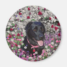 Abby in Flowers – Black Lab Dog Magnets
