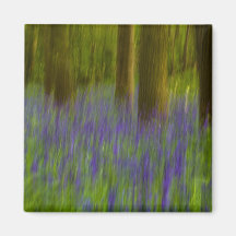 Abstract Bluebell Woods Fridge Magnet