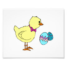 abstract chick two eggs photograph
