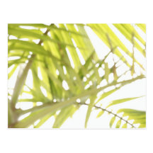 Abstract foliage post card