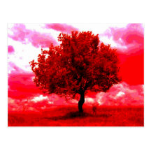 Abstract Tree Post Card