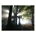 Abstract Trees Invitations