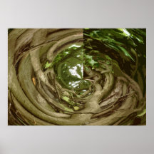 ABSTRACT VINE POSTERS