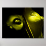 Abstract Wine Cats Poster