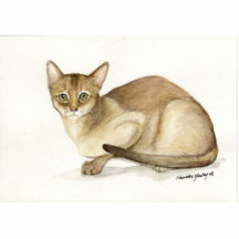 "Absyssinian Cat" Art Photo Sculpture
