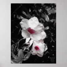 Accenting Beauty Posters