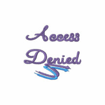 Access Denied Embroidered Shirt