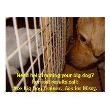 Ace Big Dog Trainer Post Cards