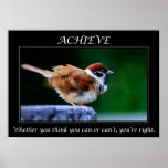 Achieve Motivational Poster