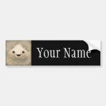 Acid Rain Bumper Stickers