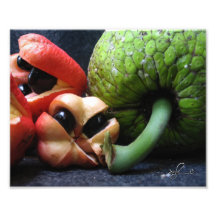 Ackee and Saltfish - Jamaican National Dish Art Photo