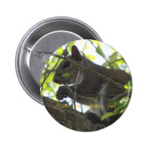 Acorns for Austerity Button