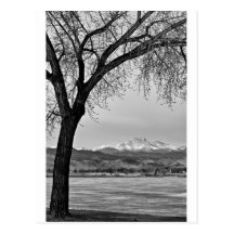 Across The Lake in Black and White Postcard