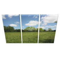 Across the Open Field: Wide Angle View canvas prints