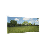 Across the Open Field: Wide Angle View canvas prints