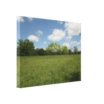 Across the Open Field: Wide Angle View canvas prints