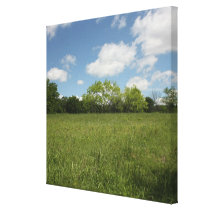 Across the Open Field: Wide Angle View canvas prints