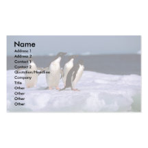 Ad?lie Penguins Business Card Template