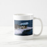 Ad?lie Penguins On An Iceberg Coffee Mugs