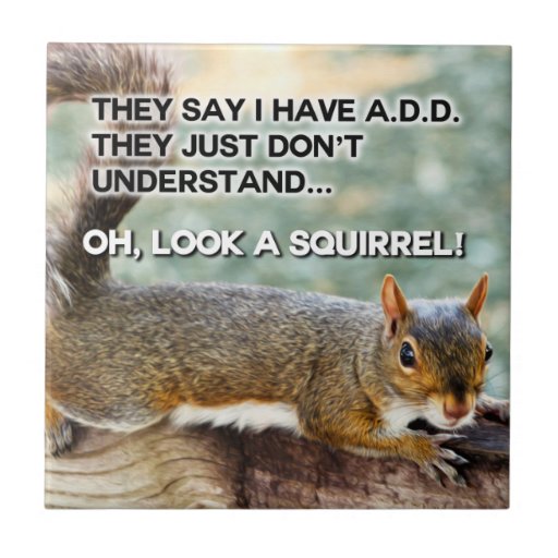 ADD Squirrel Photo | Zazzle