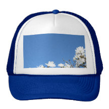 Add your text to this Hat
